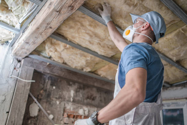 Best Residential Insulation Services  in USA